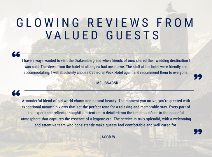 Guest reviews
